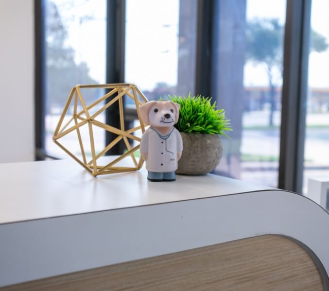 Decorations on dental office reception desk